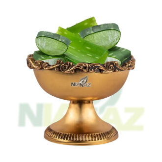 عطاری آنلاین نیاناز کرمان - برگ آلوئه ورا نیاناز - NiaNaz.com